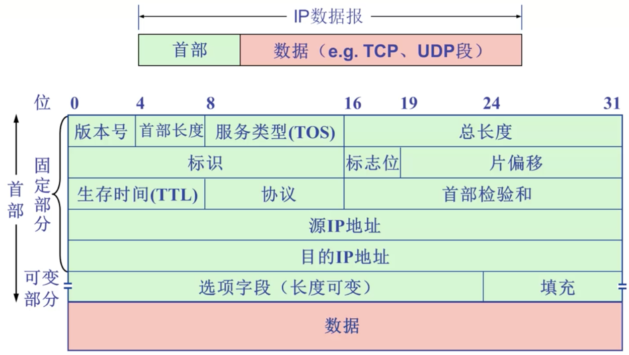 IP数据报