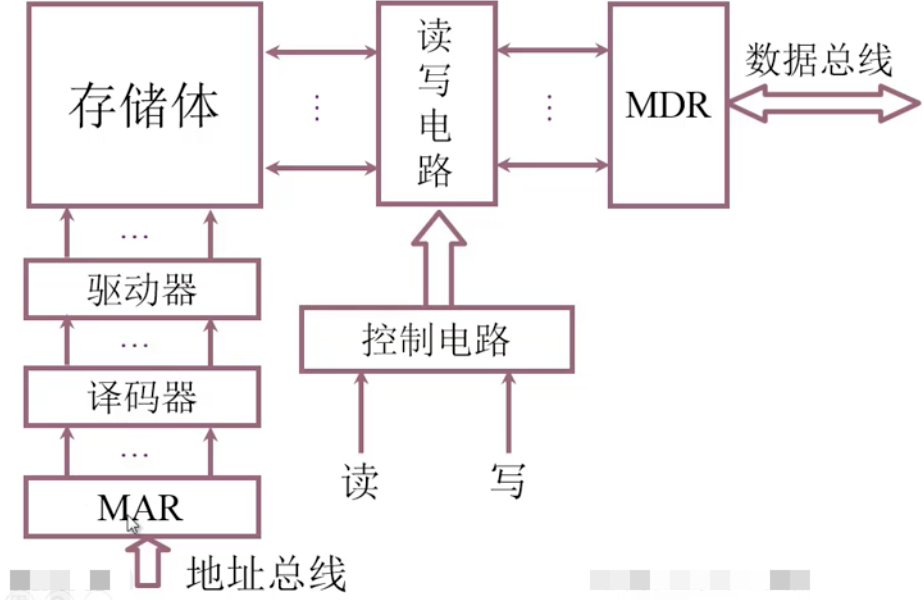 主存结构